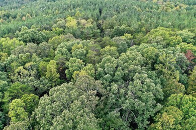 0 Oral Oaks Rd unit 20, South Hill, VA 23970 - photo 7