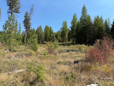 TBD Saint Peters Creek Rd, Malo, WA 99150 - photo 5