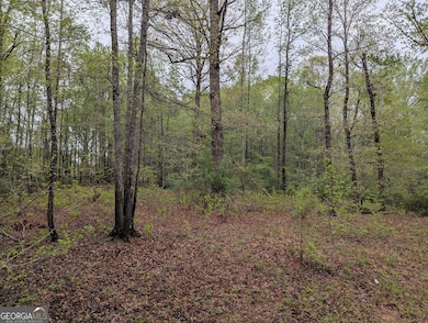 0 Fischer Spur Rd unit 10495301, Newnan, GA 30265 - photo 3