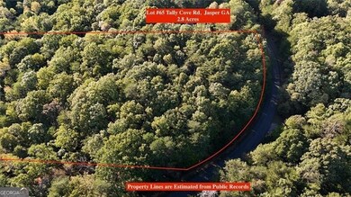 Estimated property lines for Lot #65