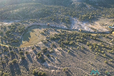 0 State Road 341 unit 20256526, Petaca, NM 87554 - photo 5