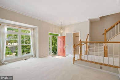 1206 Dartmouth Rd, Alexandria, VA 22314 - photo 5