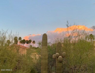 Yard View