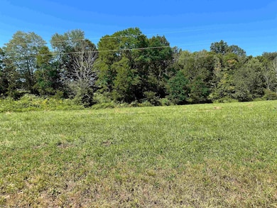 Lot 10 Alpenglow Ridge Dr, Dryfork, WV 26260 - photo 6
