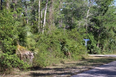 308 Lakeridge Blvd, Lehigh Acres, FL 33972 - photo 6