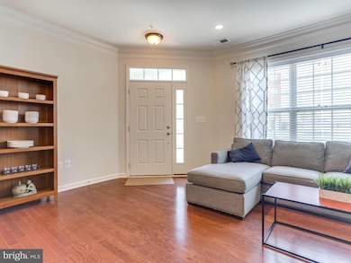 23504 Belvoir Woods Terrace, Ashburn, VA 20148 - photo 3