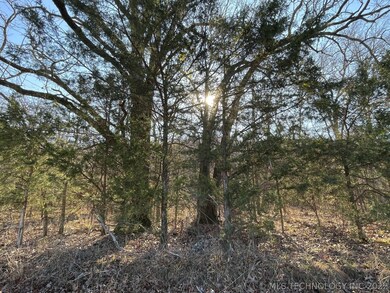 329 Bailey Blvd, Tahlequah, OK 74464 - photo 6