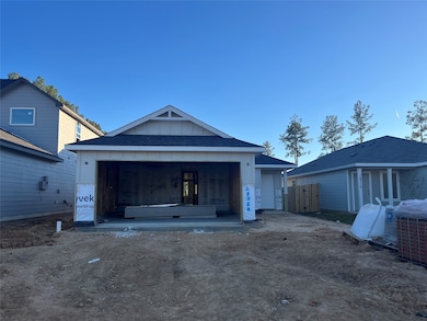 18720 Loom Dr, Montgomery, TX 77306 - photo 4