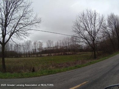 Vl Olds Rd, Leslie, MI 49251 - photo 3