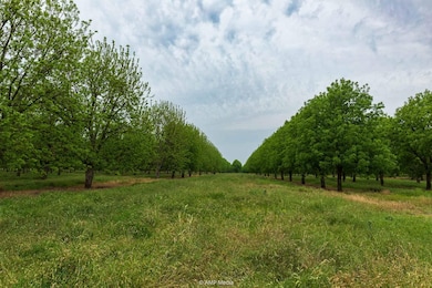 0 Bayou St, Brownwood, TX 76801 - photo 3