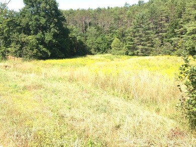 00 Route 120, Cornish, NH 03745 - photo 4