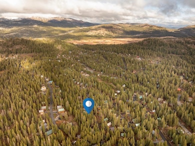 6303 Tamarack Way, Soda Springs, CA 95728 - photo 2