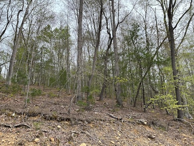 43 Deer Run Ln, Campton, KY 41301 - photo 7