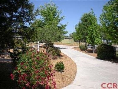 Landscaped driveway.