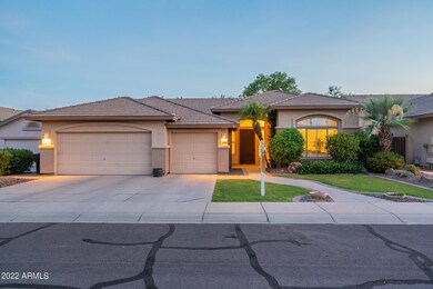 Tamarisk-Twilight-11