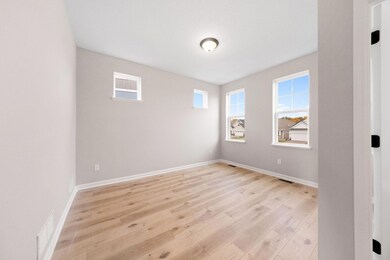 6734 Wildflower Way, Minnetrista, MN 55331 - photo 5