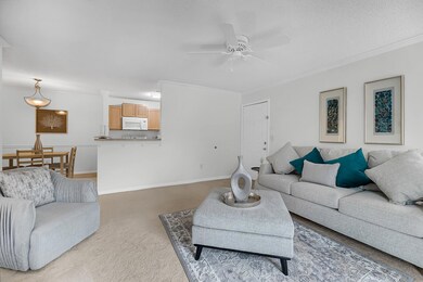 CREM - 2011 N Hwy 17 unit 1800d-3