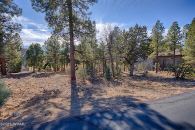Large Pine Trees On The Lot