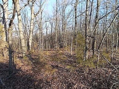 0 State Highway 248 unit 60105000, Jenkins, MO 65605 - photo 6