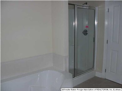 Master Bathroom Shower