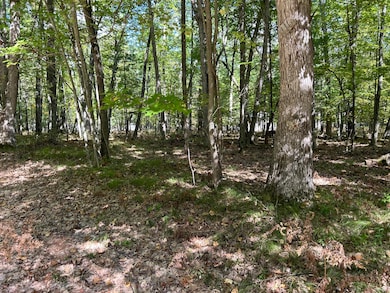 V/L Trail of the Lakes, Lake Township, MI 49304 - photo 3