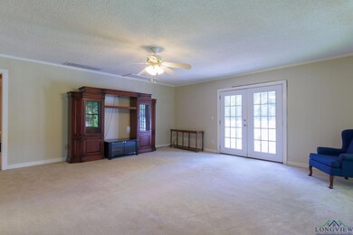 13396 Burro Dr, Tyler, TX 75707 - photo 2