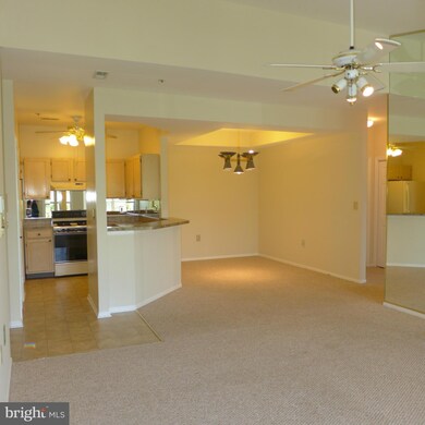 8812 Groffs Mill Dr unit 8812, Owings Mills, MD 21117 - photo 7