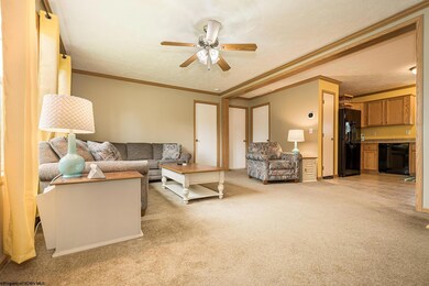 39 Whipkey Ln, Morgantown, WV 26508 - photo 6