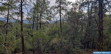 72x Joseph Blane Rd, Silver City, NM 88061 - photo 3