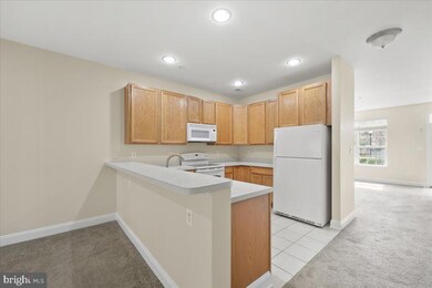 106 Black Duck Ct, Cambridge, MD 21613 - photo 7