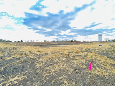 9 16th St, Windom, MN 56101 - photo 6