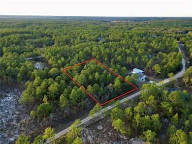 0 Tbd Sw 124th Terrace Rd, Ocala, FL 34481 - photo 3