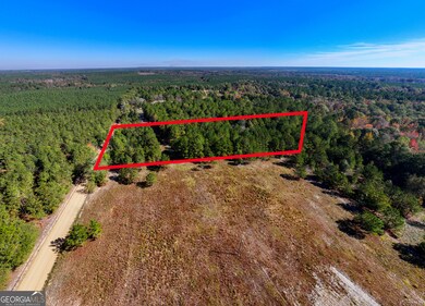 3.72 ACRES Florence Gay Rd, Cadwell, GA 31009 - photo 4