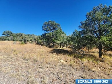 17 Vesuvius Way unit Lot 116, Silver City, NM 88061 - photo 3
