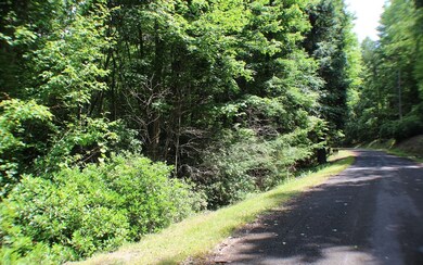 Additional View