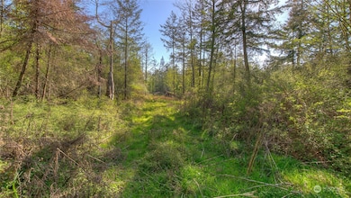 0 X Orcas Rd, Orcas Island, WA 98245 - photo 5