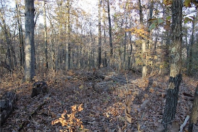 0 Carew Dr unit 1133051, Bella Vista, AR 72714 - photo 3