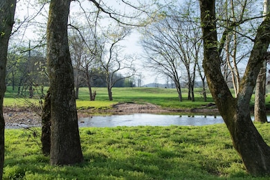 0 Old Harding Rd, Franklin, TN 37064 - photo 5