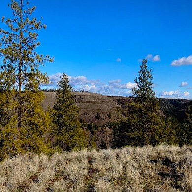 31775 Ruffed Grouse Dr E, Davenport, WA 99122 - photo 6