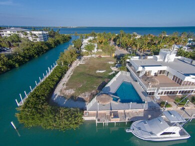 Lot on Duck Key 1-00141