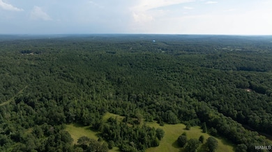 0 Wilkinson Rd, Fayette, AL 35555 - photo 6