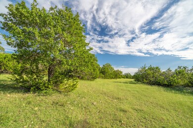 1289 Curtis Ln, Fredericksburg, TX 78624 - photo 7
