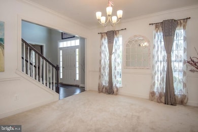 200 Testaverde Rd, Newark, DE 19702 - photo 3