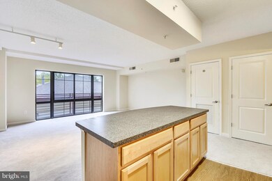 The Aurora Condominiums unit 316, Silver Spring, MD 20910 - photo 7