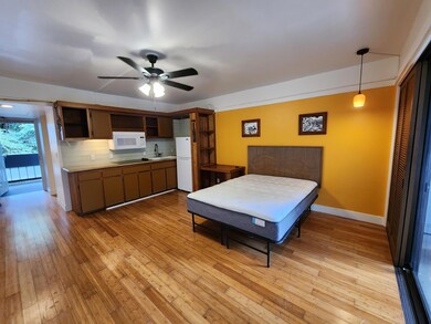 Nicely upgraded studio unit.