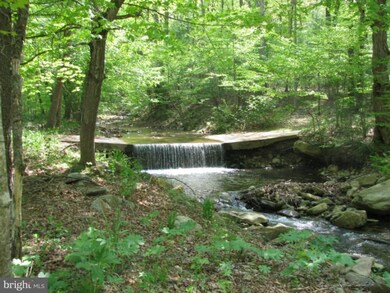 3502 Lower Cove Run Rd, Mathias, WV 26812 - photo 7