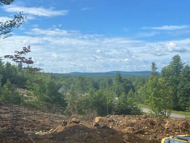 36 Sap House Rd unit 19, Bradford, NH 03221 - photo 2