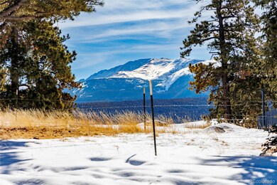 405 Silvermoon Heights, Divide, CO 80814 - photo 4