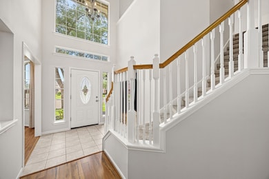 Bright entrance showcasing tons of natural light