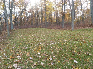 428 Cedar Dr, Drums, PA 18222 - photo 6